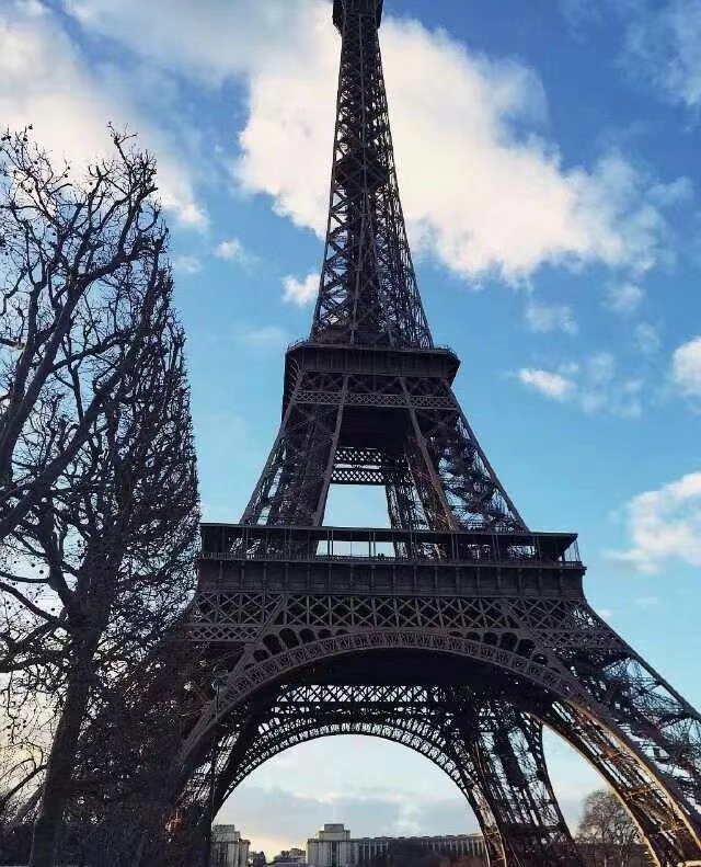 货代第二个十年,愿我们都能坚持所爱,奔赴山海......