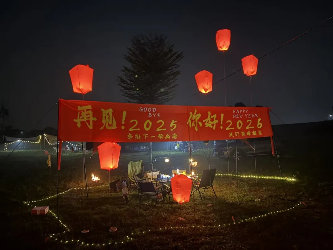 货代说和Paul的2025年度报告