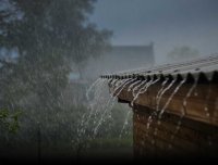 曾经的你:聆听8个温暖的货代故事