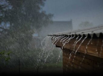 曾经的你:聆听8个温暖的货代故事