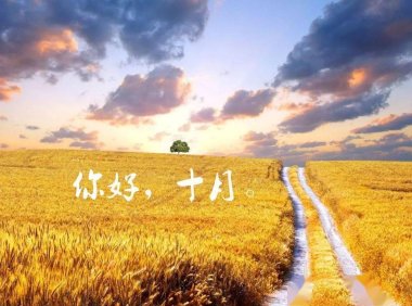 十月,货代人播种的季节