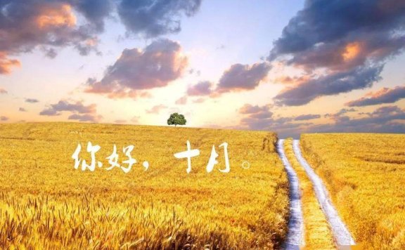 十月,货代人播种的季节