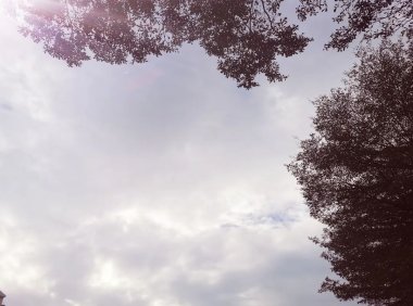 重构:从新开始,从心出发