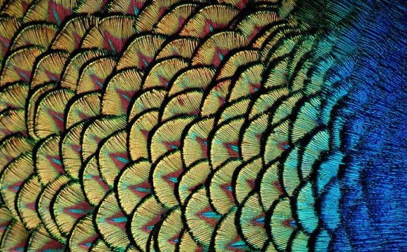 一份新年礼物，回归初心