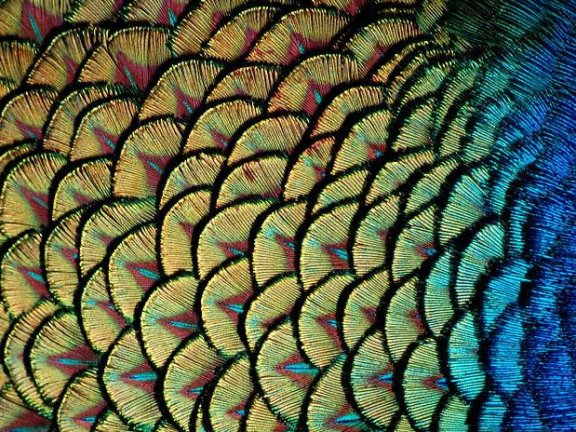 一份新年礼物，回归初心