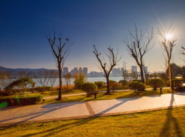 愿冬日暖阳,驱散你心中的阴霾