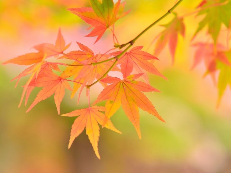 货代这行,那些个让人触动的时刻