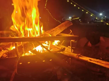 货代说和Paul的2024年度报告