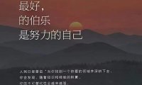 如果重新选择,你还会选择货代吗?
